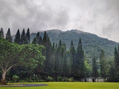 -深圳仙湖植物园