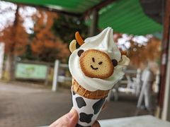 -神户市立六甲山牧场