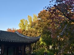 -秋霞圃