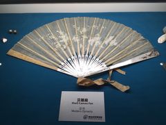 -青岛贝壳博物馆