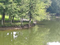 -长白岛森林公园