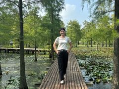 -池杉湖湿地公园