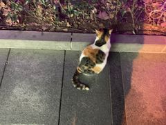 -Iapm环贸地下车库