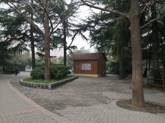 -西苑公园