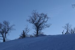 -大秃顶子山
