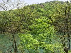 -白马涧龙池景区
