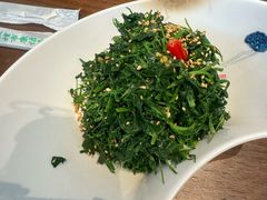 凉拌苜蓿-靖远尕六美味羊羔肉
