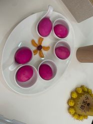 -宝生月子中心(独栋园林·福田店)