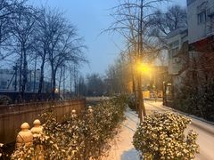 -斯多格书乡(北京大学畅春园店)