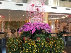 -青岛海尔洲际酒店