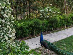 -J Create城市露营咖啡·简餐·宠物(上海动物园店)