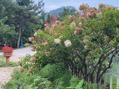-云峰山自然风景区
