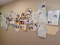 -海豚湾高端月子会所(黄浦店)