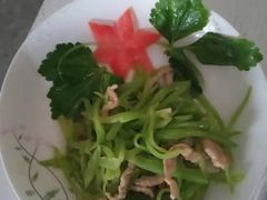 -成都阿姨到家月嫂育儿嫂(华西店)