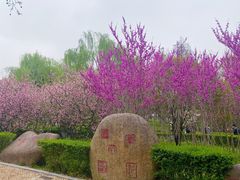 -大宁公园