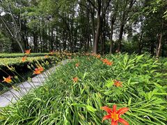 -苏州河梦清园环保主题公园