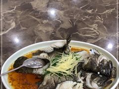 -蚝专家(北滘店)