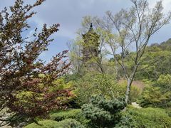 -牛首山文化旅游区