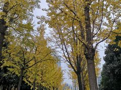 -苏州河梦清园环保主题公园