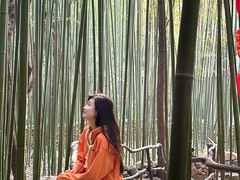 -竹泉村旅游度假区