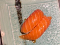 -沼津港精致料理·寿喜烧·烧鸟(龙湖南桥天街日料榜单店)