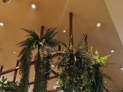 -冀粤香海鲜自助餐厅(西美五洲店)