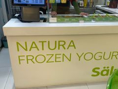 -Salud撒露欧洲冻酸奶(蓝色港湾店)