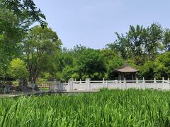 -莲湖公园