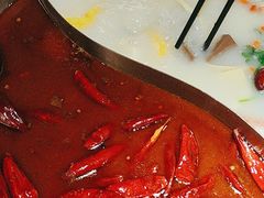 -麻田会 ·鲜活现烹·牛蛙火锅(珠江新城维家思广场店)