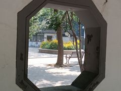 -团结湖公园