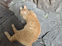 -磁器口古镇