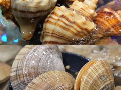 -初色海鲜自助(万丰路店)