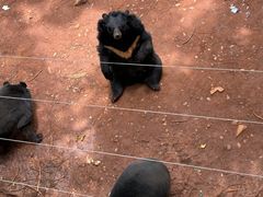 -昆明动物园