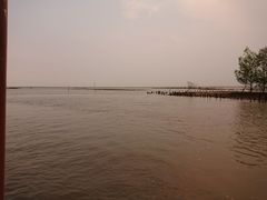 -东寨港红树林旅游区