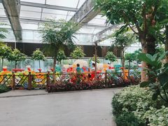 -南宫五洲植物乐园