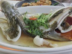 -八仔大富楼·河鲜(西江店)