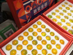 -南宁国际会展中心(会展东博文化旅游区)