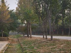 -永定河休闲森林公园