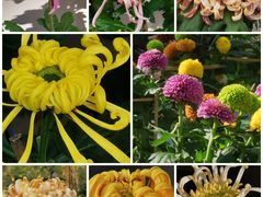 -共青国家森林公园-售票处