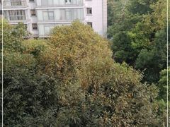 -浙江大学医学院附属第二医院-地面停车场