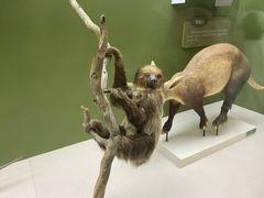 -国家自然博物馆