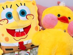 -PAWTOY爪e玩偶店(天兴罗斯福店)