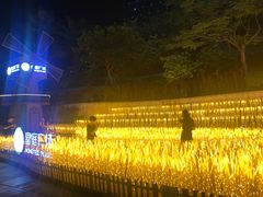 -BeauTea水仙(coco park店)