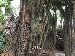 -龙达温泉生态城