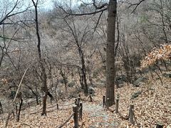 -阳台山自然风景区