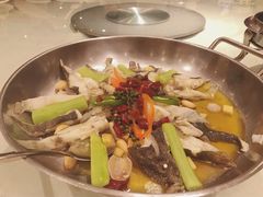 舌尖上的多宝鱼-新兴·金羊座·粤菜点心(乐峰店)
