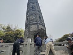 -上海佘山国家森林公园天马山园