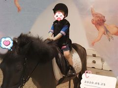 -李振强马术运动推广中心(南城店)