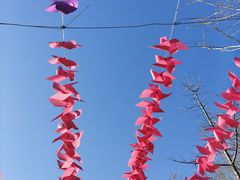 -野鸭湖国家湿地公园