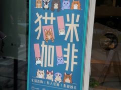 门面-飞行喵MR PILOT|猫舍·猫咖(静安大融城店)